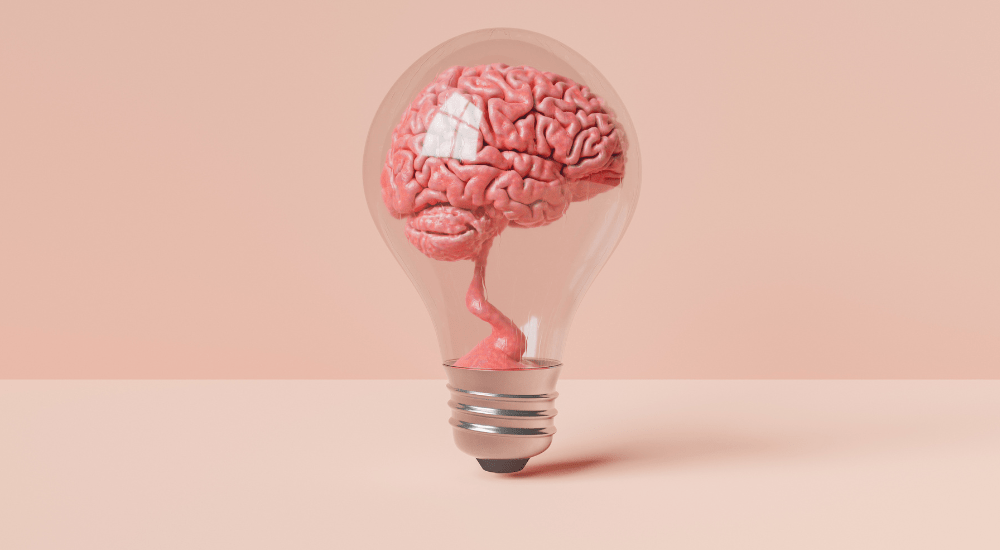 Brain Droppings